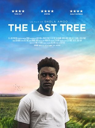 The Last Tree Film